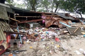 No Vietnamese victims reported in Indonesia tsunami: embassy