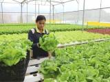 Thủ tướng: Đưa Việt Nam vào tốp 15 nước nông nghiệp phát triển nhất