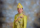 Party-State leader congratulates new Malaysian King