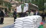 Rice aid reaches over 520,000 impoverished people ahead of Tet