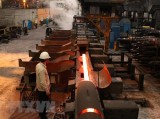 越南政府不干涉对加出口的焊接碳钢管价格