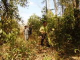 Phú Giáo: Chủ động phòng, chống cháy rừng mùa khô