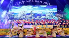 2019年奠边洋紫荆花节正式开幕