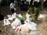 TX.Thuận An: Tịch thu và tiêu hủy hơn 1.200 kg thịt heo nghi bị bệnh, không rõ nguồn gốc