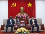 Provincial leader receives representative of the WB in Vietnam