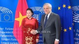 越南国会主席阮氏金银同欧洲议会主席安东尼奥•塔亚尼举行会谈