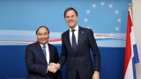 荷兰驻越南大使：荷兰首相越南之旅有助于深化在新形势下的越荷伙伴关系
