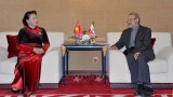 越南国会主席阮氏金银会见伊朗议会议长