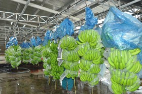 Phối hợp, thúc đẩy phát triển ngành nông nghiệp