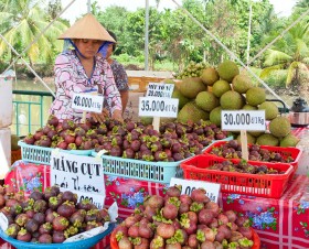 Sức hút vườn cây ăn trái Lái Thiêu