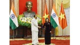 越南国家副主席邓氏玉盛同印度副总统奈杜举行会谈