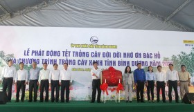 平阳省人民委员会发起2019年“世世代代铭记胡伯伯功劳”的植树节和绿树种植计划