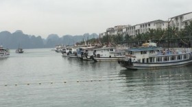 公交船 ——下龙湾的新颖旅游服务
