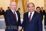 Thủ tướng Nguyễn Xuân Phúc hội kiến Tổng thống Nga Vladimir Putin