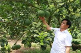 Ông Nguyễn Huỳnh Thanh: Nông dân sản xuất giỏi, chung tay xây dựng nông thôn mới