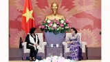 越南国会主席阮氏金银会见古巴总检察长