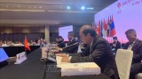 越南出席泰国东盟地区论坛高官会