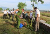 Practical activities responding to World Environment Day in Da Nang