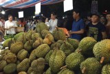 Fruit festival in a bid for brand name affirmation