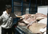 Bắt giữ hàng trăm kg thịt heo thối trong chợ Đông Đô