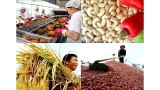 越南主要农产品已销往160个国家和地区