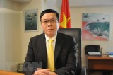 Đại sứ Vũ Anh Quang: Quan hệ thương mại VN-EU đạt dấu mốc quan trọng