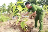 Planting trees for a green Binh Duong