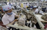 European firms consider  Vietnam feasible investment destination