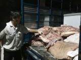 Ngăn chặn thịt không rõ nguồn gốc tuồn vào chợ Đông Đô