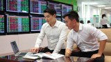 6月份越南证券托管中心向356名外国投资者发放证券交易代码