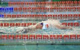 Vietnamese swimmers compete at FINA World Aquatics Championships