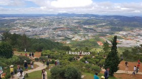 林同省浪平山上种植1000棵喜马拉雅樱桃树