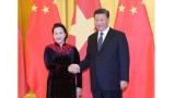 越南国会主席阮氏金银会见中共中央总书记、中国国家主席习近平