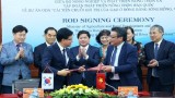 韩国帮助越南改善稻米价值链