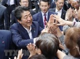 Bầu cử thượng viện Nhật: Liên minh cầm quyền hướng tới chiến thắng