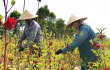 联合国可持续发展目标实施情况报告对外公布 越南上升三个位次
