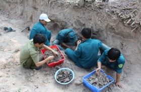 Đưa các anh trở về...