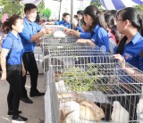 Tổ chức Đoàn - Hội huyện Bắc Tân Uyên: Hỗ trợ thanh niên tăng gia sản xuất