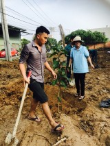 Hội LHPN phường Phú Mỹ, TP.Thủ Dầu Một: Ra quân trồng cây xanh, vệ sinh môi trường
