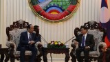 越南与老挝政府办公厅促进合作