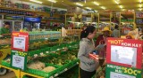 Nở rộ siêu thị mini, cửa hàng tiện lợi