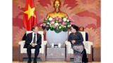 越南国会主席阮氏金银会见欧盟驻越南代表团团长布鲁诺•安格莱特大使