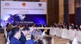 第12届湄公河-日本外长会议在泰国举行