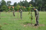 Sư Đoàn 7: Trồng cây gây rừng, bảo vệ môi trường