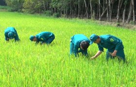 Lực lượng dân quân xã An Điền (TX.Bến Cát): Điển hình trong phong trào thi đua quyết thắng