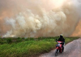 High risks of forest fires in many ASEAN countries