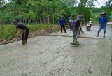Sharing efforts in homeland construction