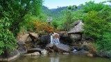 岘港生态旅游模式让游客沉浸于大自然的景色中