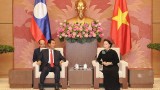 越南国会主席阮氏金银会见老挝国会副主席