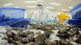 美国对越南虾类的反倾销税降为零 虾产业股价暴涨